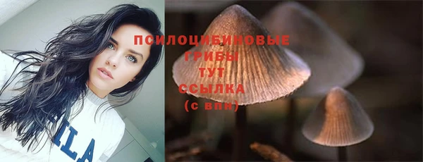 гашиш Нефтекумск